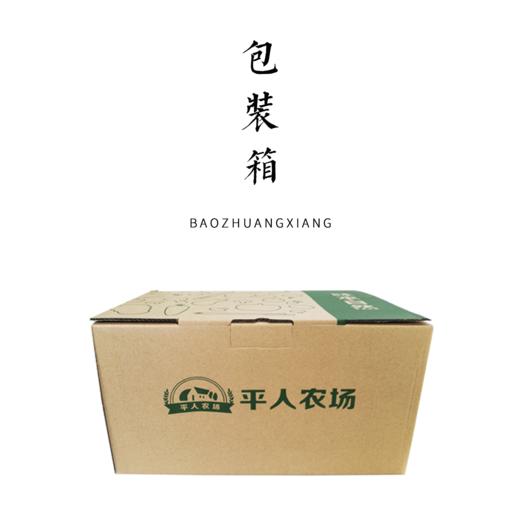 平人包装箱 商品图0