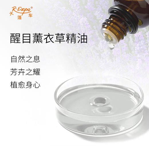 醒目薰衣草精油 法国精油原料批发芳疗护理香氛调香按摩大篷车精油 商品图1