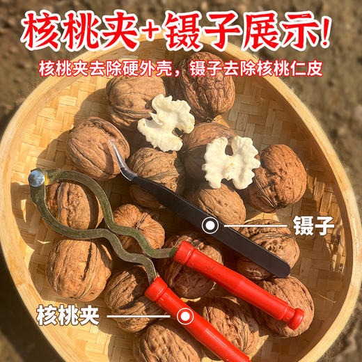2025年农家新鲜湿核桃 去青皮发货  果仁饱满  脆嫩香甜  核桃 3斤 商品图1