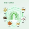 丁教授清昁饮清润养净植物饮滇橄榄铁皮石斛葛根陈皮婆婆丁3g*30袋/盒 商品缩略图5