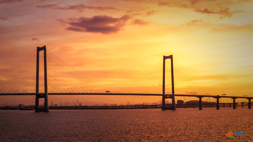 航拍双景：深中通道架起湾区脉搏，南沙体育馆跃动城市活力 2天 商品图2