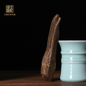 天然达拉干沉香 沉水级  SP11777