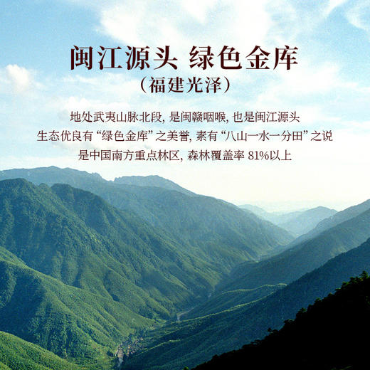 正山堂 正心发展有福气 骏眉红茶正宗光泽红茶叶送礼长辈礼盒100g 商品图6