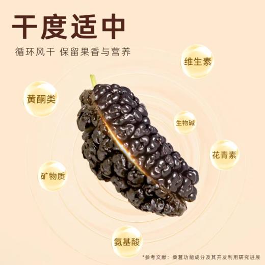 攀枝花有机大桑椹49.9到手2罐硕果田间有机桑椹干特级出口品质只摘取头部𝟑𝟎%‍的桑葚比普通的个头更大满满花青素基地直邮 商品图10