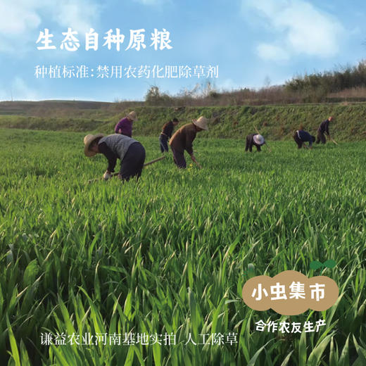 生态古法特级酱油 500ml*2 | 合作农友生产，产自江苏淮安，生产者：李明攀 *【公平贸易农人定价】 商品图9