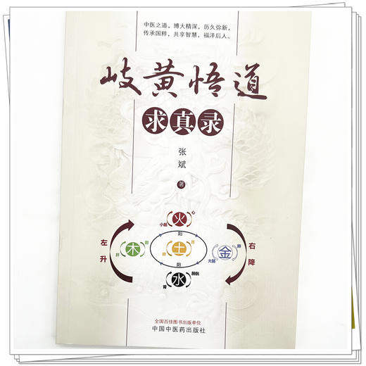 岐黄悟道求真录 张斌 著 中国中医药出版社 中医临床医案 案例解析 书籍 商品图3