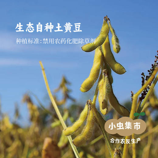 生态古法特级酱油 500ml*2 | 合作农友生产，产自江苏淮安，生产者：李明攀 *【公平贸易农人定价】 商品图4