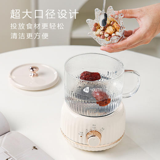 艾青春 多功能养生杯 MY-203 商品图6