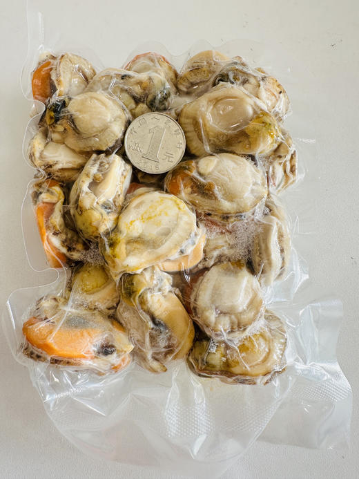 【长岛扇贝肉】出口级别，不泡药，不泡水，无泥无沙，只需简单清洗后即可烹饪，干净又美味 商品图3