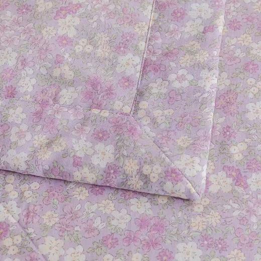 【春上新】10楼 恐龙 全棉沁柔双层纱棉花夏被 200*230cm   吊牌价1980元    活动价299元 商品图4