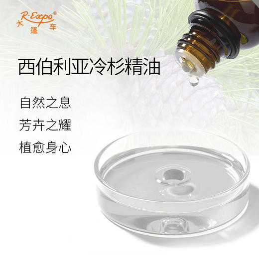 西伯利亚冷杉精油 奥地利单方精油原料批发 芳疗护理调香香薰 商品图1