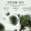 【自营】阿道夫天然香植物香氛沐浴露(水润舒缓)618ml 商品缩略图3
