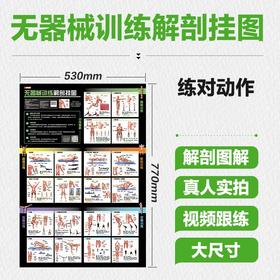 无器械训练解剖挂图 力量训练计划 无器械健身 徒手健身书籍 健身训练书籍