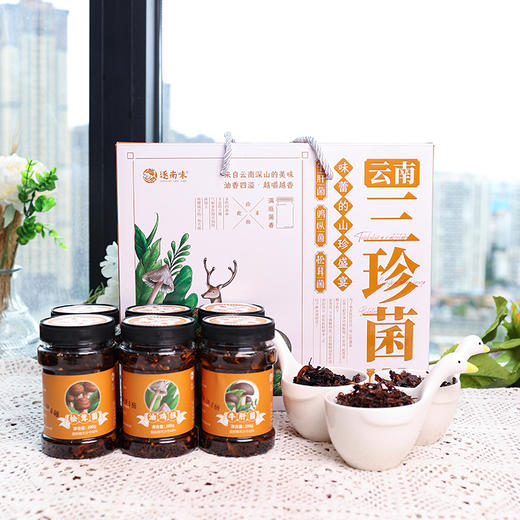 逐南味云南三珍菌200g牛肝菌油鸡枞松茸菌下饭拌面佐餐 商品图0