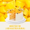 新鲜芒果千层［3层水仙芒果大块果肉］ 商品缩略图1