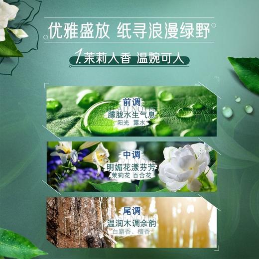 得宝（Tempo） 纸巾茉莉花味手帕纸4层36包 纸巾小包便携装手帕纸餐巾纸（新旧包装随机发货/旧包装无印花） 商品图6