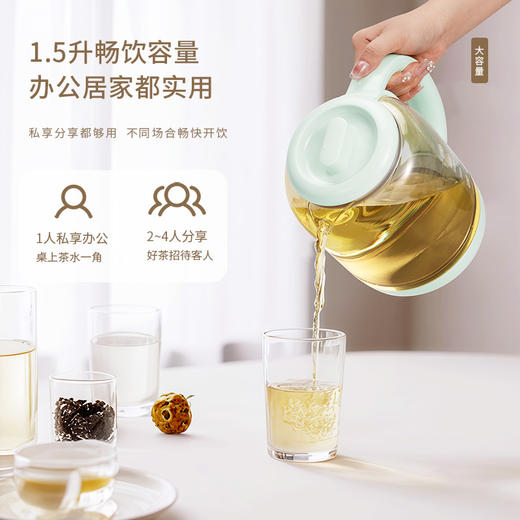 艾青春 养生壶AI-YSH818（带滤网） 商品图3