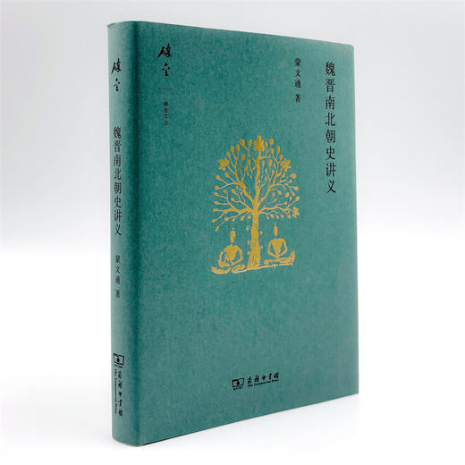 魏晋南北朝史讲义(碎金文丛6) 商品图3