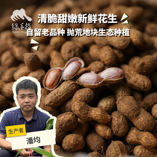  生态鲜花生（带壳）| 合作生产 *Ecological fresh peanuts | Partner Production 商品图0
