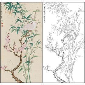 谢稚柳花鸟工笔画白描底稿《双清幽鸽》临摹勾线高清打印稿XZ15