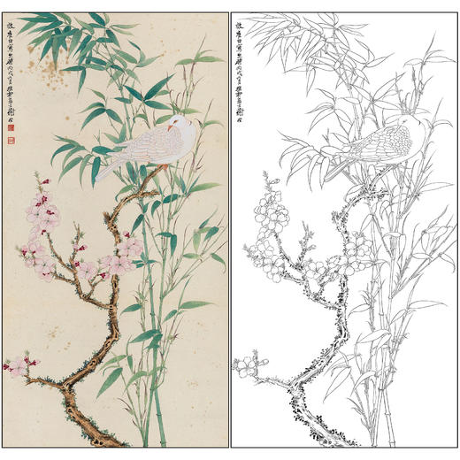 谢稚柳花鸟工笔画白描底稿《双清幽鸽》临摹勾线高清打印稿XZ15 商品图0