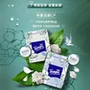 得宝（Tempo） 纸巾茉莉花味手帕纸4层36包 纸巾小包便携装手帕纸餐巾纸（新旧包装随机发货/旧包装无印花） 商品缩略图5