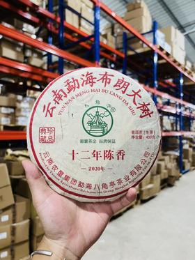 【最后3饼】线下实体抢手产品【十四年老茶2008年头春料云南布朗乔木】八角亭当年出品线下实体高端系列；老古2020年收藏上乘老生茶；400g/饼，工厂升级，品牌升级！为打造旅居茶庄园，清仓放漏
