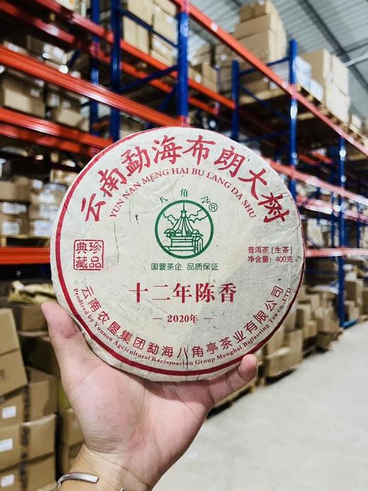 【最后3饼】线下实体抢手产品【十四年老茶2008年头春料云南布朗乔木】八角亭当年出品线下实体高端系列；老古2020年收藏上乘老生茶；400g/饼，工厂升级，品牌升级！为打造旅居茶庄园，清仓放漏 商品图0