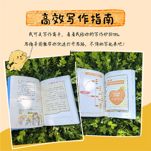 小狗日记  二十四节气创意写作故事  节气流转中写童年故事中国中小学创意写作联盟倾情推荐 商品图3