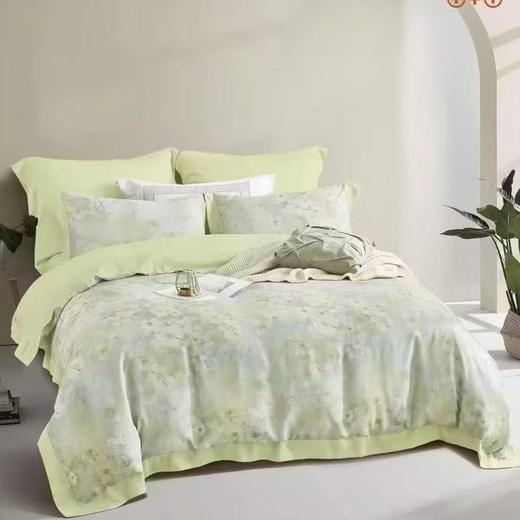 【春上新】10楼恐龙 莱塞尔天丝四件套   吊牌价2280元   活动价459元 商品图1