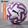 SFS彪马Puma25/26英超高端无缝热粘合5号足球比赛训练球084893-01 商品缩略图0