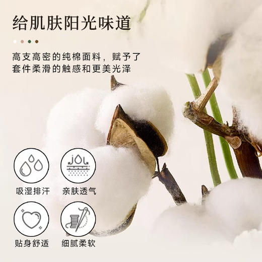 罗孚 简•醒春集全棉四件套 40S 绿色 商品图4