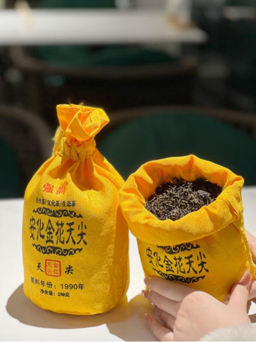 🌸250g只要39.9💰【强韵 安化金花黑茶袋装】3天掉秤5斤💥 必备解“油”好物❗ 🍵农业大学科研20年 油脂“唰唰掉” ✨ 商品图1