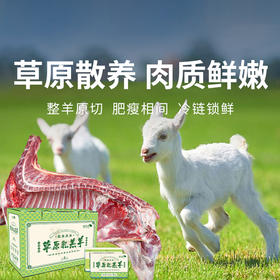 【GJ链接请勿用!!!】【半只羊礼盒】精品原切乳羔羊 保留纯正羊本味  肉质鲜美 不腥不膻  简单烹饪 畅享美味