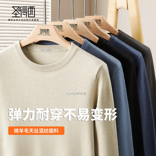 【含羊毛&含莱赛尔】圣得西男款圆领套头针织毛衫2025年秋季新款 商品图3