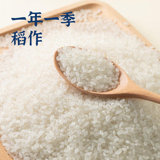 袁谷辽河基地长粒香米5kg东北粳米蟹稻大米10斤一年一季新米 商品图2