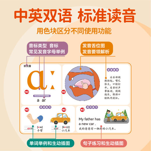 【会说话的英语国际音标点读书】发声书儿童英语启蒙自然拼读发音早教机  商品图3