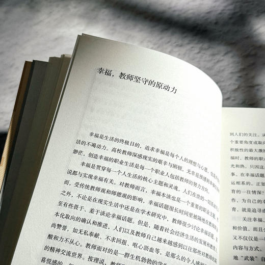 大学的良心 高校教师师德案例读本 大夏书系 师道文丛 高等学校师德案例研究 教师教育理论 商品图10