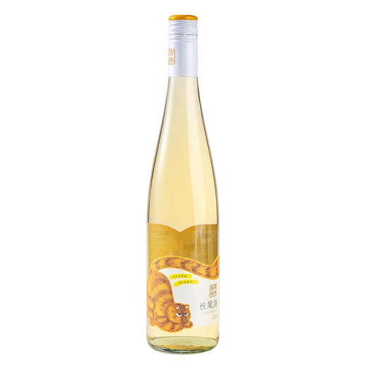 【盖子退十元】张裕长尾猫半甜白葡萄酒 750ml 11.0%vol 商品图0