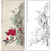 谢稚柳花鸟工笔画白描底稿《富贵白头》临摹勾线高清打印稿XZ10 商品缩略图0
