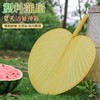 夏季乘凉扇子 塑料蒲扇 大葵扇 加厚加大手摇扇 防摔坏家用芭蕉扇子 老式大蒲扇 1把 商品缩略图2