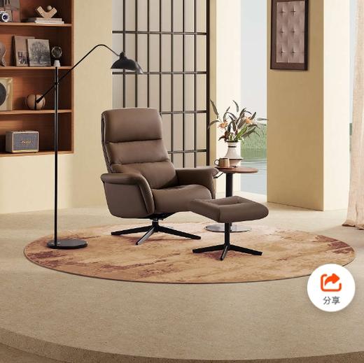 风度休闲椅沙发/KG-A186 商品图0