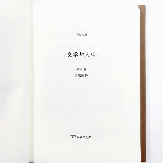 文学与人生(碎金文丛) 商品图6