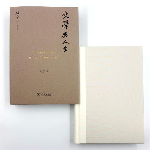 文学与人生(碎金文丛) 商品图5