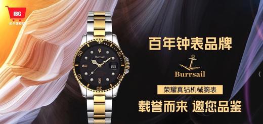 BURRSAIL荣耀真钻机械对表 商品图0