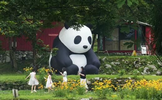 【彭州避暑·熊猫森林&龙门雪谷清凉首发】399起住民宿圈“顶流”太空舱/野奢帐篷/树屋…享早餐、戏水、森林徒步、烧烤、热气球等！ 商品图3