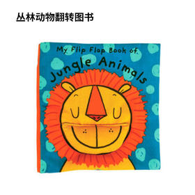 英语认知 早教学习布书 生活常识启蒙 奇智奇思   国内发货