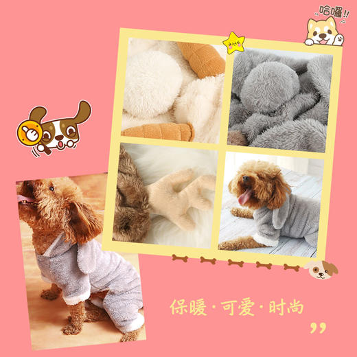 抖音网红狗狗衣服｜秋冬装｜泰迪小型幼犬｜猫咪博美比熊法斗宠物｜四脚衣 商品图2