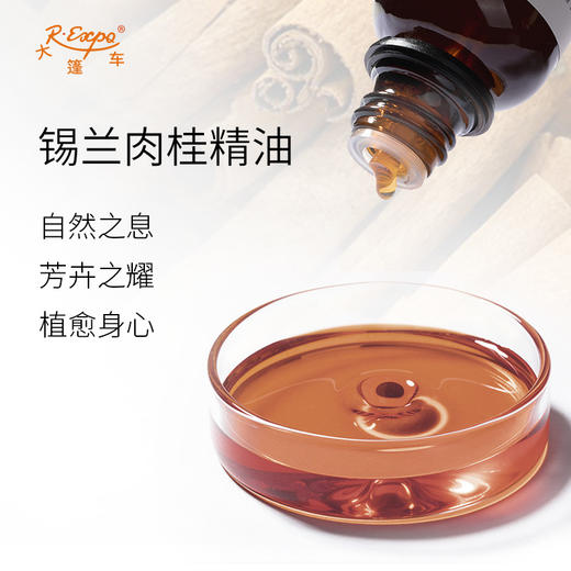 锡兰肉桂精油/真肉桂 印度单方精油原料批发 芳疗护理调香香薰 商品图1