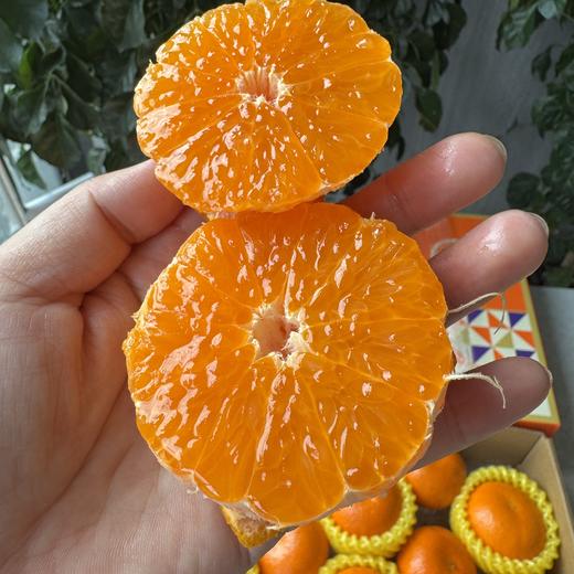 澳洲无核软皮蜜柑 商品图0